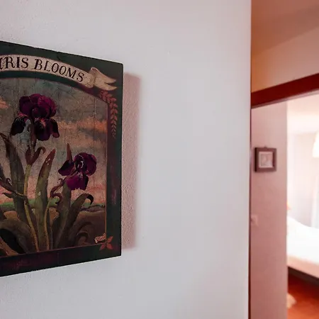 Chantebrise A2 By Interhome * 切希尔雷斯