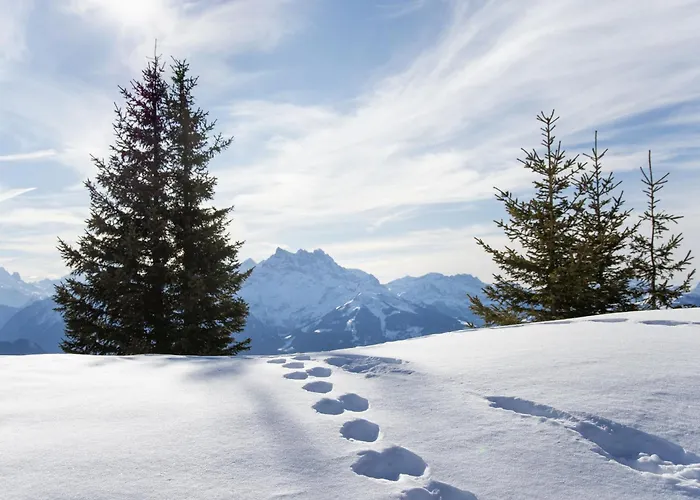 Lägenhet Chantebrise A2 By Interhome *